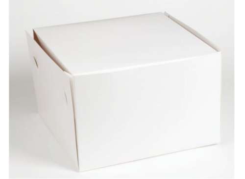 8 Inch Cake Box - 10 Inch Tall